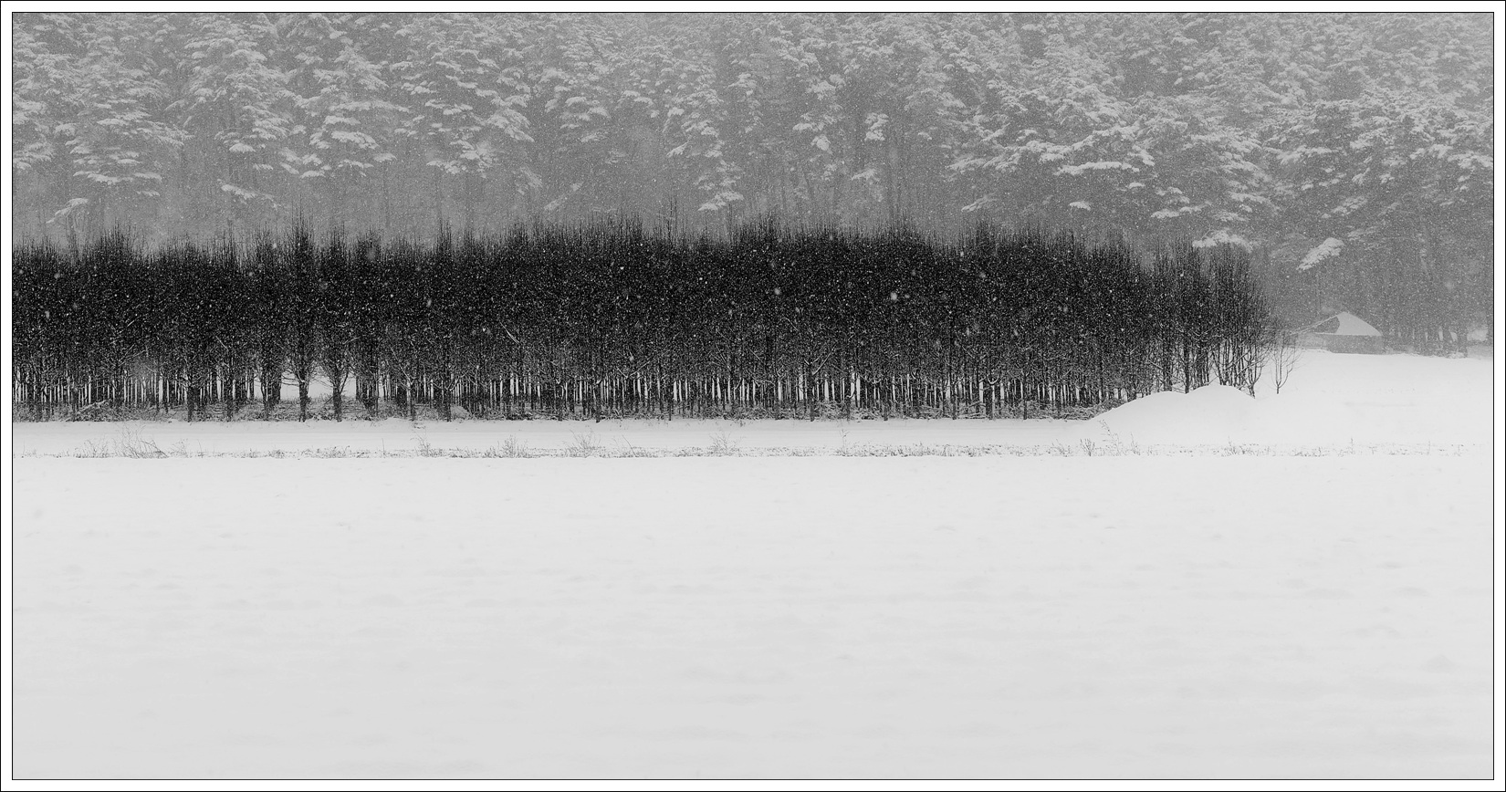 백미화- 눈오는날-90x47cm.jpg