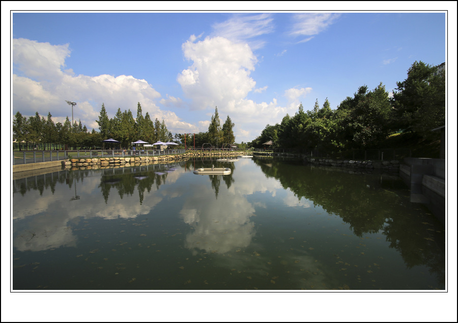 황명주-걸포중앙공원.jpg