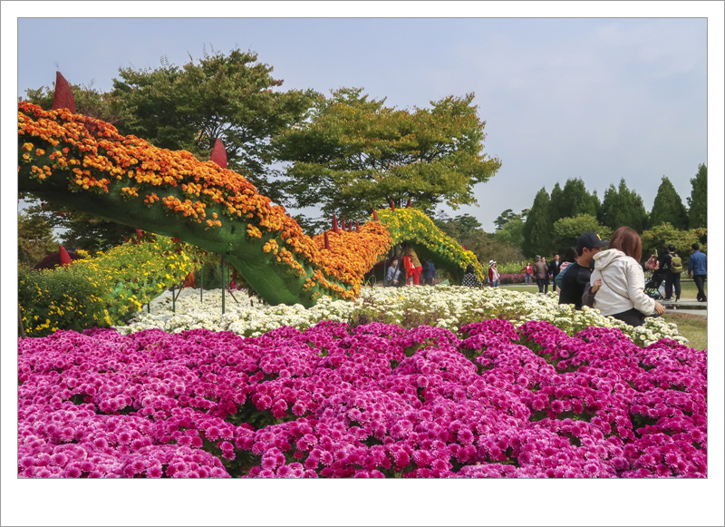 김태현-꽃 축제.jpg