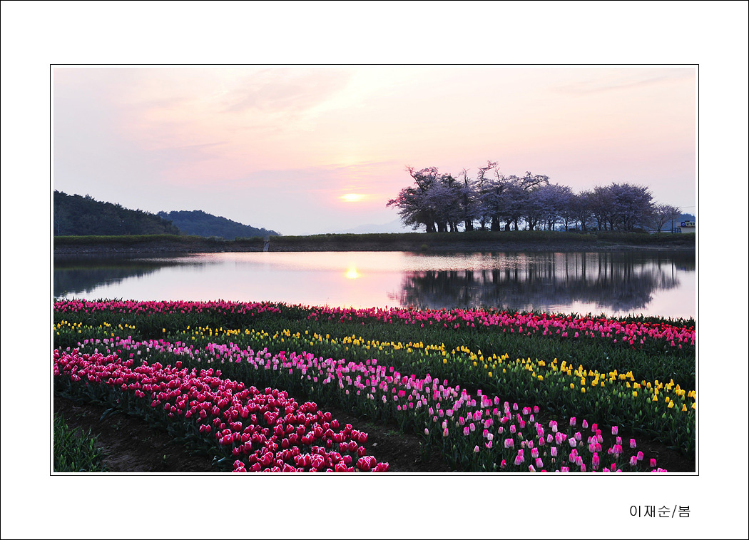 이재순-봄 사본.jpg